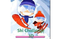 Play Ski Challenge 3D now!