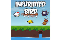 Play Infuriated bird now!