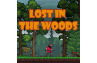 Play Lost in the Woods now!