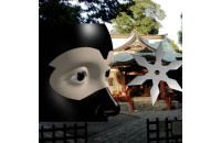 Play Ninja Academy now!