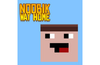 Play Noob: Way home now!