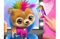Play Rock Star Animal Hair Salon now!