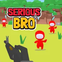 PLay Serious Bro now!