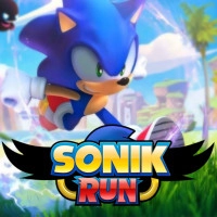 PLay SoniK Run now!